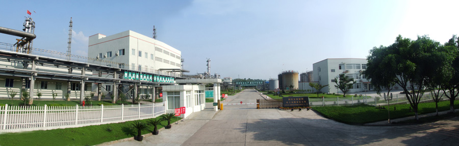 龙8中国官网唯一入口股份