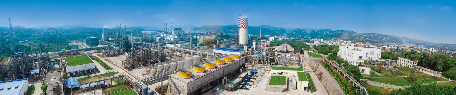 龙8中国官网唯一入口集团信息公开