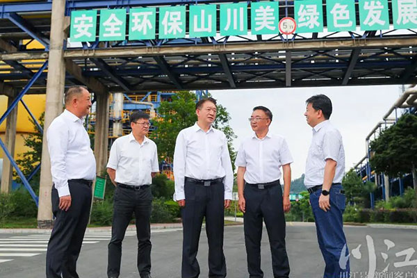 杨林兴：把新型工业化摆在更加突出的位置，让“四化同步”发展的主引擎作用更加凸显