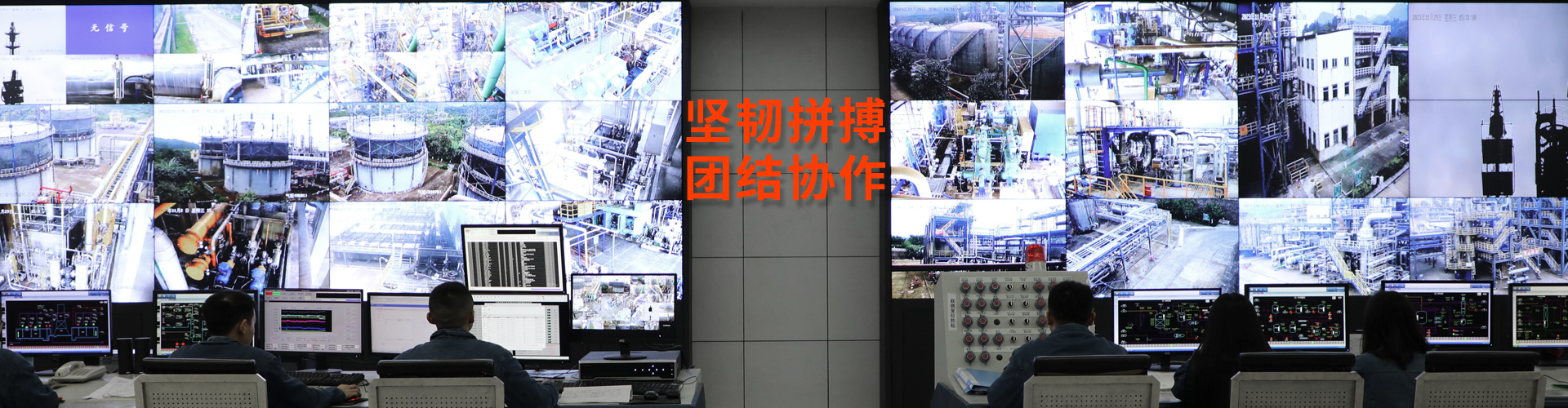 龙8中国官网唯一入口集团